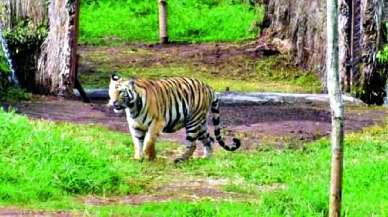  deccanchronicle.com 