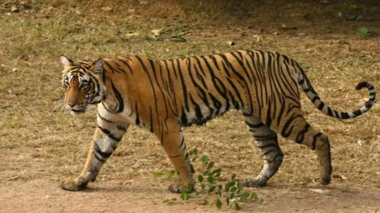  Image Source: India Today 