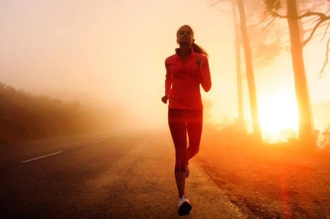  The Pacer Blog 