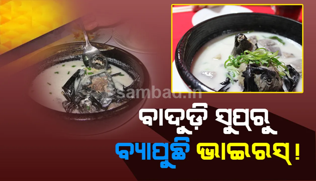  ଚୀନରେ ମିଳୁଥିବା ‘ବାଦୁଡ଼ି ସୁପ୍‌’ ପାଇଁ ବ୍ୟାପୁଛି କି କୋରୋନା ଭାଇରସ୍‌?