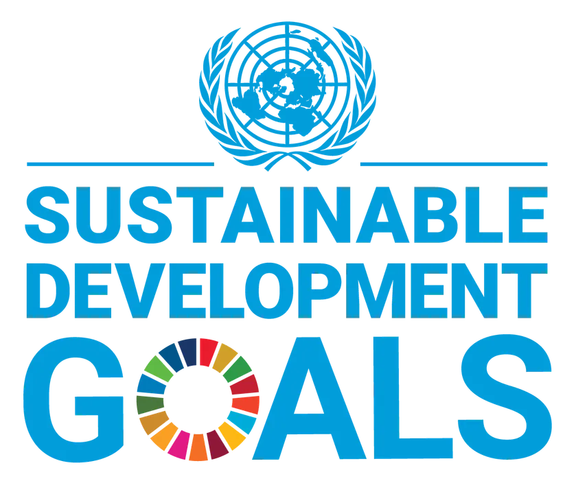  the United Nations 