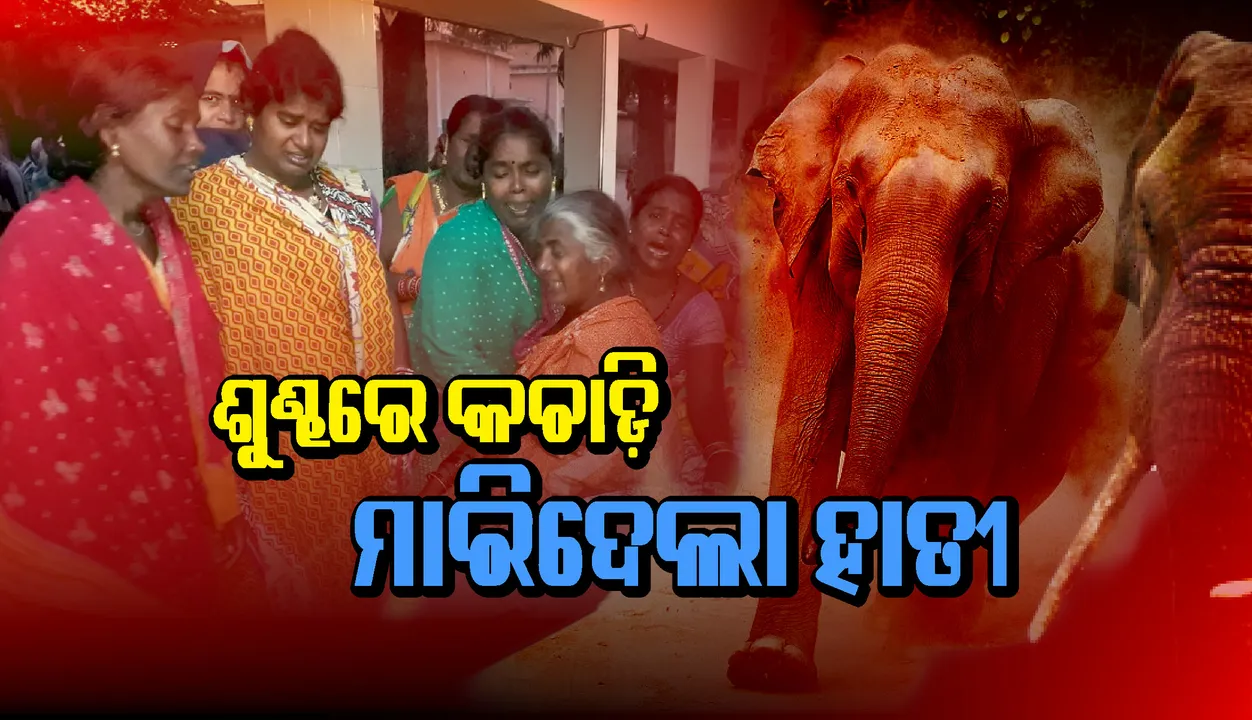  ଦିଗପହଣ୍ଡିରେ ହାତୀ ଆକ୍ରମଣରେ ଚାଷୀଙ୍କର ମୃତ୍ୟୁ