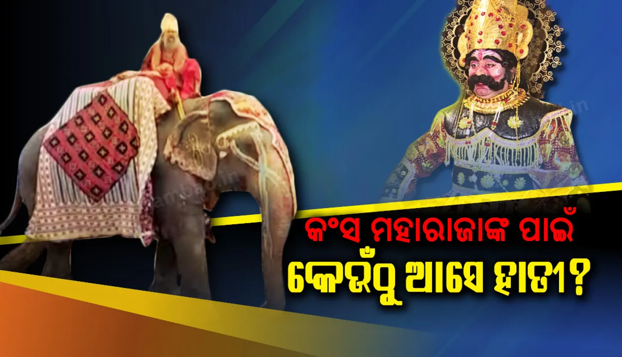  ବିଶ୍ୱ ପ୍ରସିଦ୍ଧ ବରଗଡ଼ ଧନୁ ଯାତ୍ରାରେ ମହାରାଜା କଂସଙ୍କୁ ପିଠିରେ ବସାଇ ମଥୁରା ନଗରୀ ବୁଲାଉଥିବା ହାତୀ କେଉଁଠୁ ଆସେ? ଆସନ୍ତୁ ଜାଣିବା