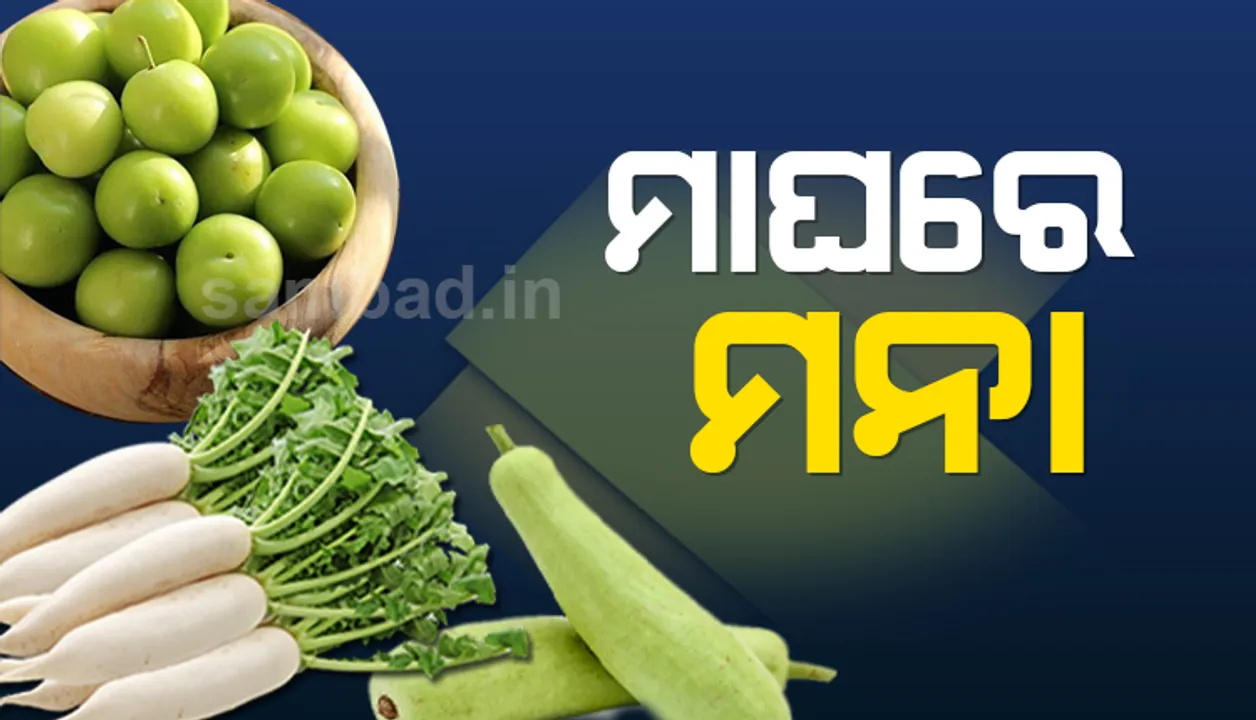  ମାଘମାସରେ ଲାଉ, ମୂଳା ଓ ବରକୋଳି ଖାଇବା ମନା, ଜାଣନ୍ତୁ କାହିଁକି