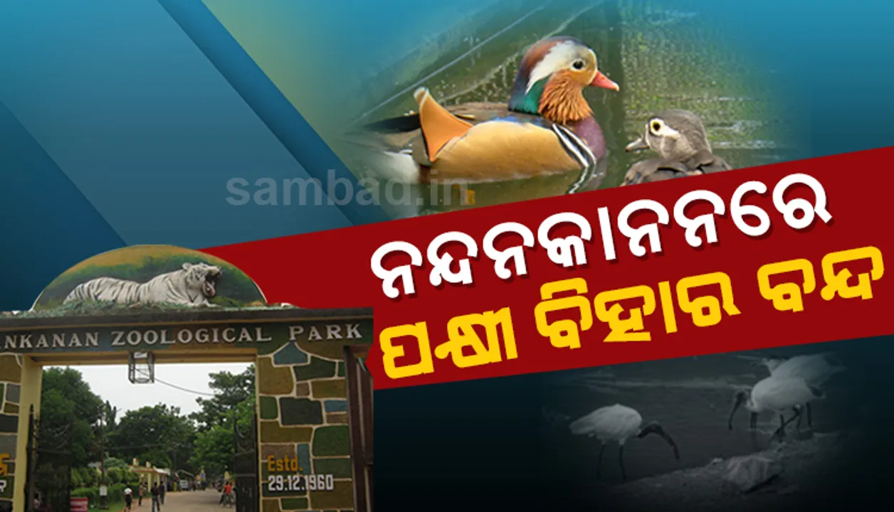  ବାର୍ଡ ଫ୍ଲୁ ଆତଙ୍କ: ଆସନ୍ତାକାଲିଠାରୁ ନନ୍ଦନକାନନର ପକ୍ଷୀ ବିହାର ବନ୍ଦ