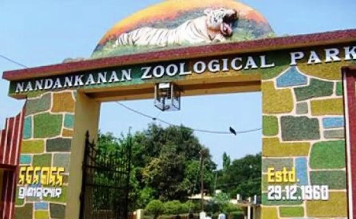  Kalinga TV 