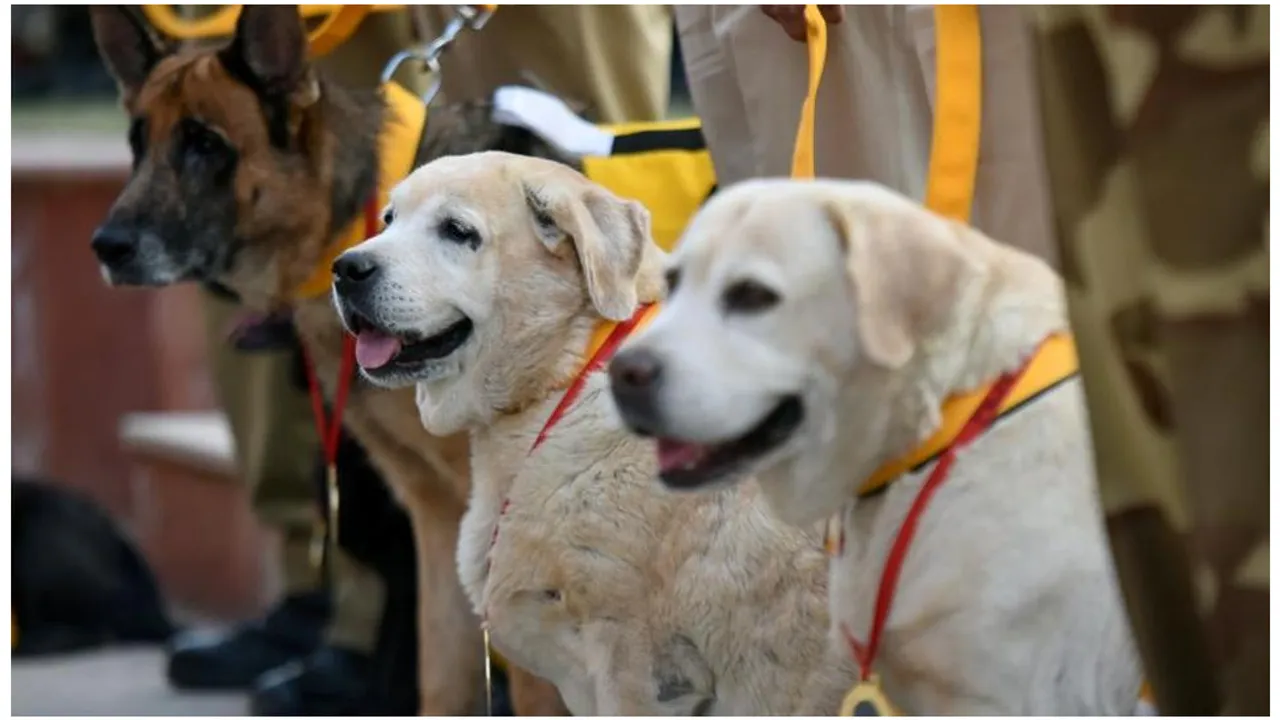  Image Source: Hindustan Times ( Representational) 
