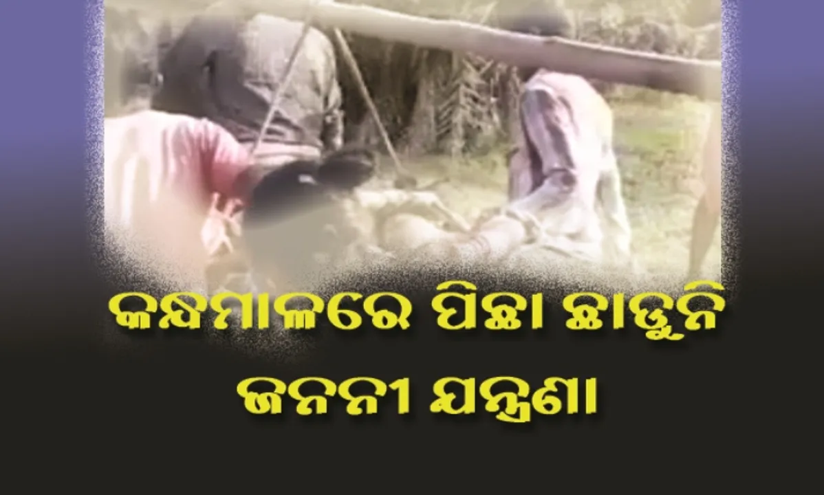  Odisha News Insight 