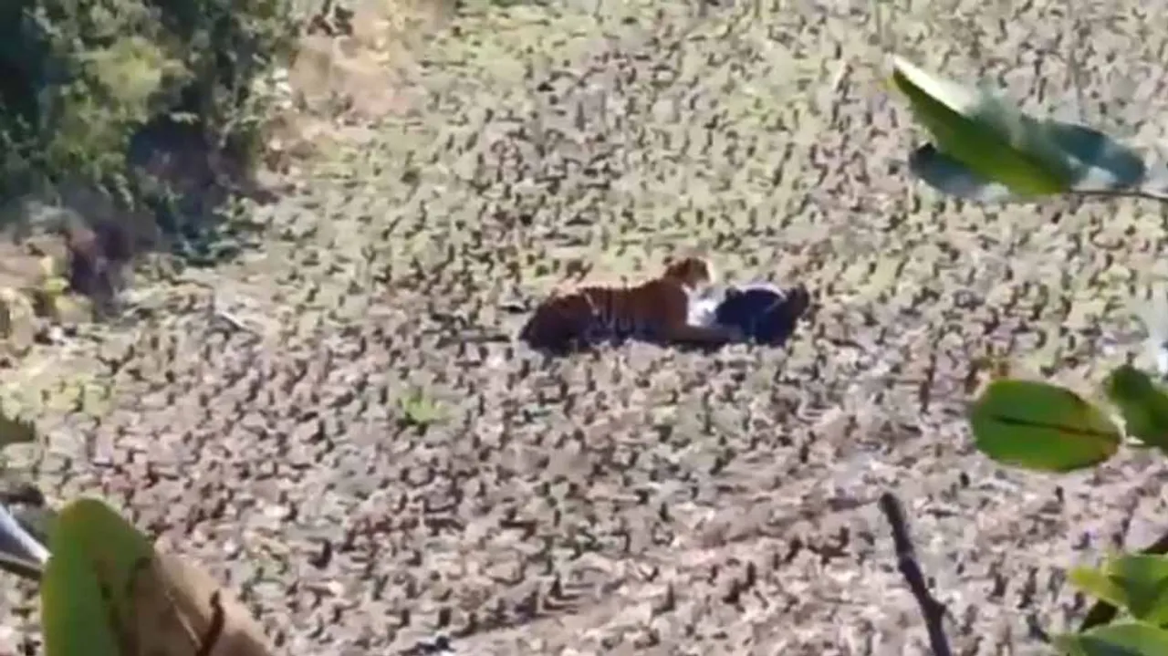  Grabbed from Video 