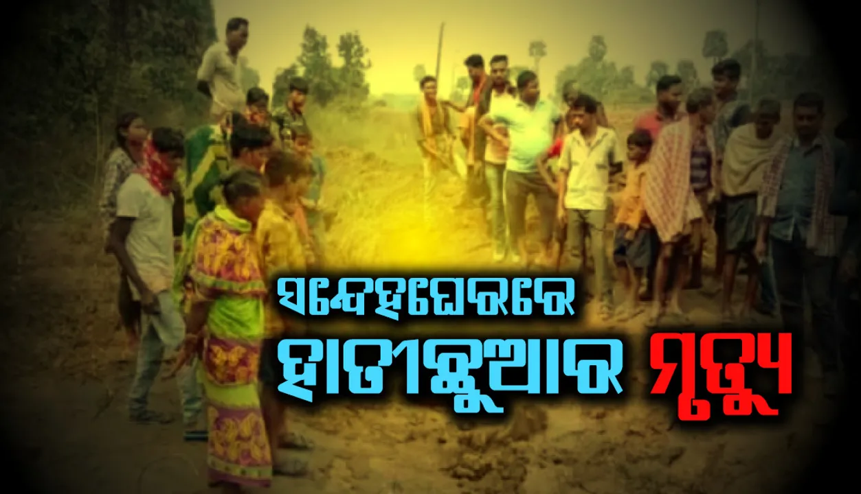  ଟ୍ରେନ୍ ଧକ୍କାରେ ହାତୀଛୁଆର ମୃତ୍ୟୁ ! ଦେହରୁ ଅଲଗା ହୋଇଛି ଶୁଣ୍ଢ