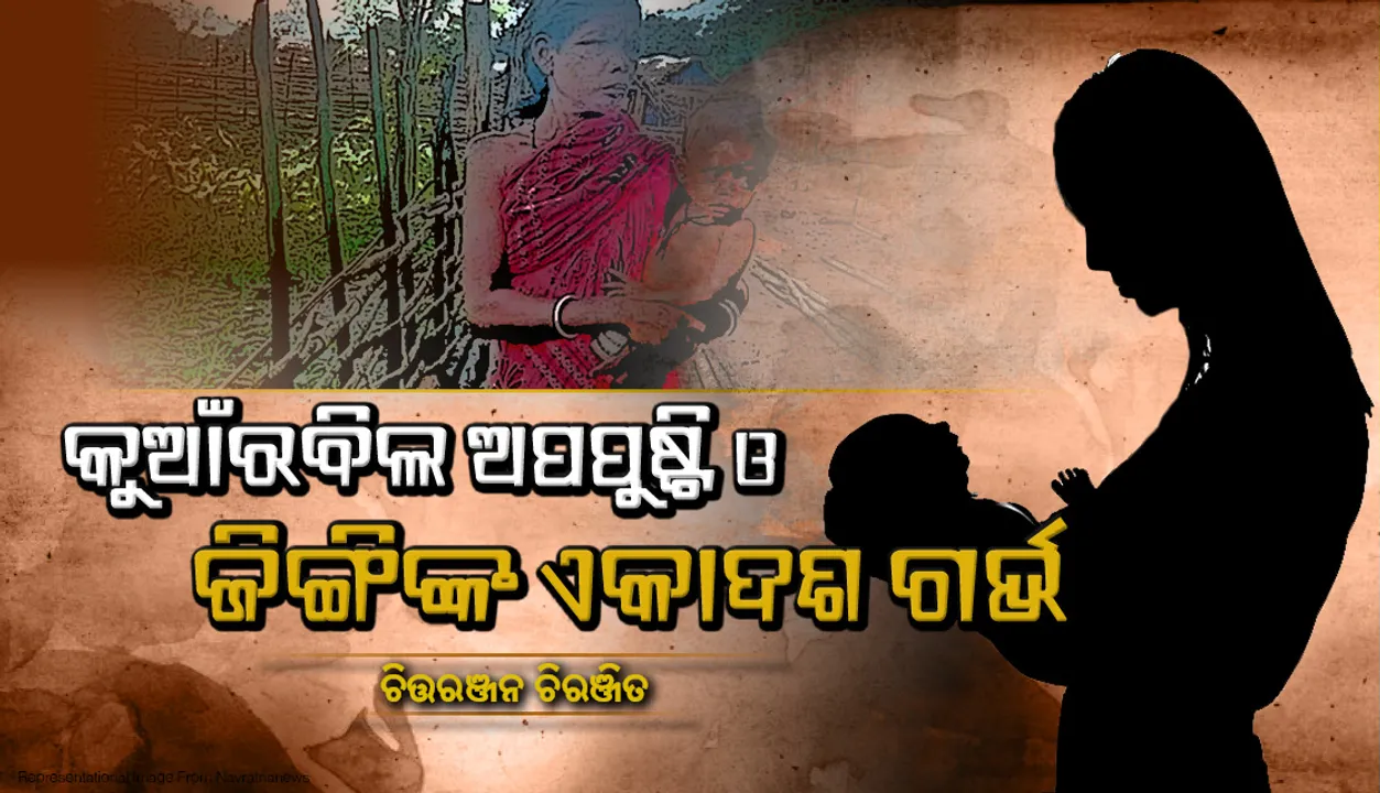  କୁଆଁରିବିଲ, ଅପପୁଷ୍ଟି ଓ ଜିଙ୍ଗିଙ୍କ ଏକାଦଶ ଗର୍ଭ