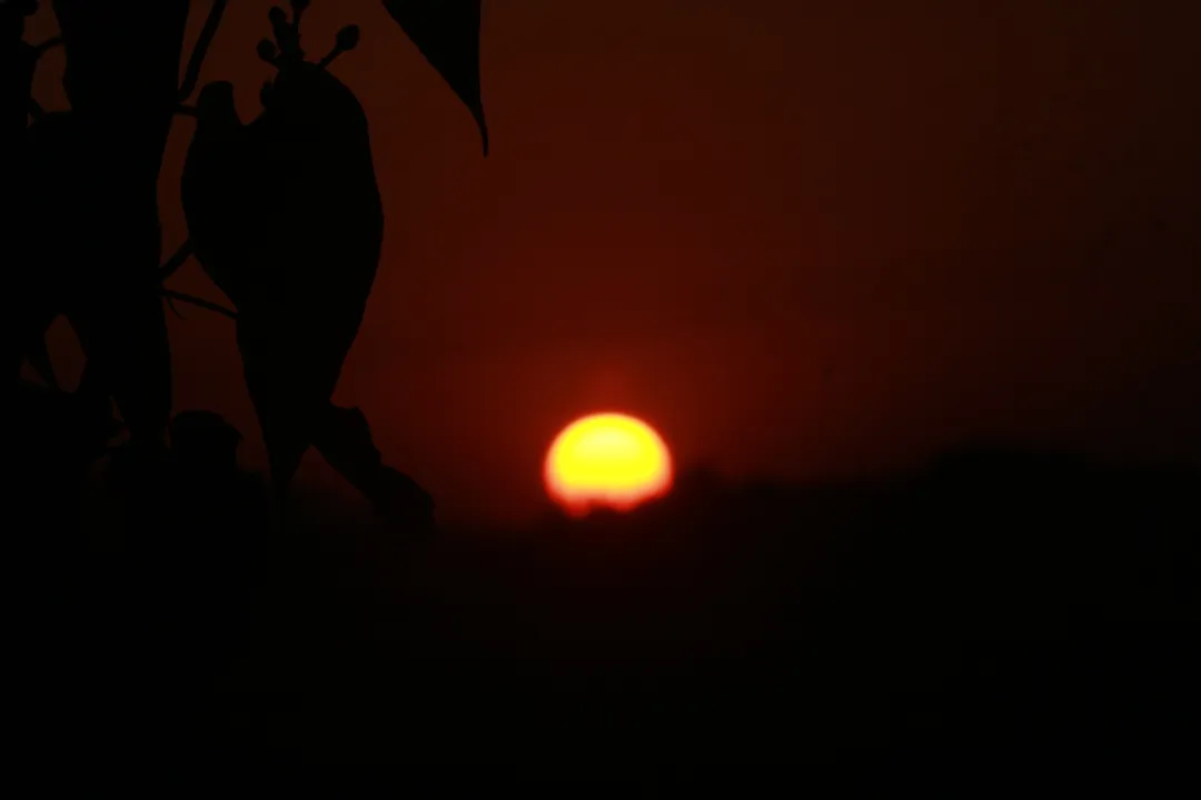  ଘାଟି ଉପରୁ ଅସ୍ତଗାମୀ ସୂର୍ଯ୍ୟ। (ଫଟୋ: ଶ୍ରୀକାନ୍ତ, ଜୟପୁର)