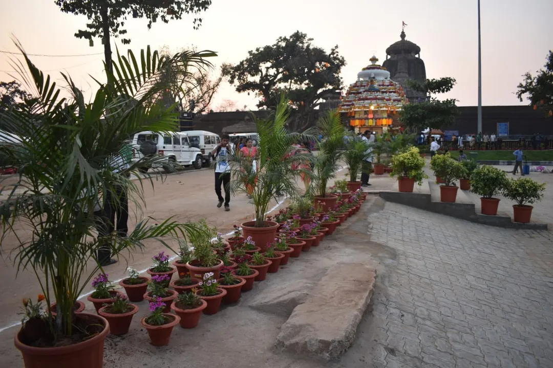  ଶ୍ରୀଲିଙ୍ଗରାଜ ମନ୍ଦିର ଖୋଲିବାକୁ ବିଏମ୍‌ସିର ନିର୍ଦେଶାବଳୀ, ଛେପ ପକାଇବା ଉପରେ ଅଙ୍କୁଶ