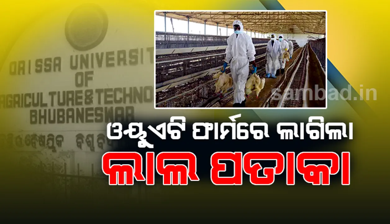  ବାର୍ଡ ଫ୍ଲୁ ଚିହ୍ନଟ ପରେ ତିନିମାସ ପର୍ଯ୍ୟନ୍ତ ସିଲ୍‌ ହେଲା ଓୟୁଏଟି, ଲାଗିଲା ଲାଲ ପତାକା