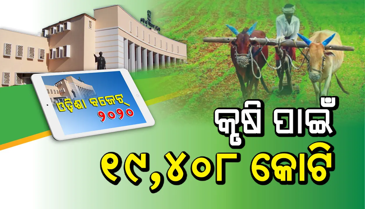  କୃଷି ବଜେଟ୍‌ : ରାଜ୍ୟ କୃଷକଙ୍କ ଆୟ ଦ୍ୱିଗୁଣିତ ହୋଇଛି, କୃଷି ପାଇଁ ୧୯,୪୦୮ କୋଟିର ବ୍ୟୟବରାଦ