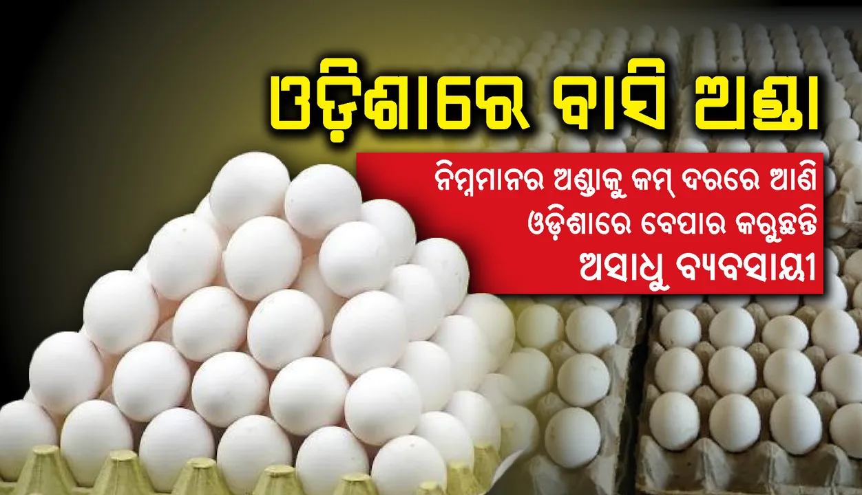  ଓଡ଼ିଶାରେ ବାସି ଅଣ୍ଡା : ବାହାର ରାଜ୍ୟରୁ ୧୦ରୁ ୧୫ ଦିନର ବାସି ଓ ନିମ୍ନମାନର ଅଣ୍ତାକୁ କମ୍‌ ଦରରେ ଆଣି ଓଡ଼ିଶାରେ ବେପାର କରୁଛନ୍ତି ଅସାଧୁ ବ୍ୟବସାୟୀ