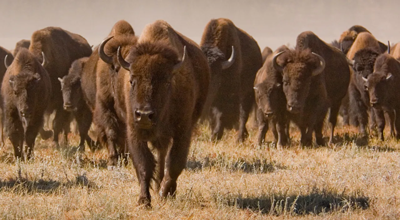  Image Source: National Park Service 