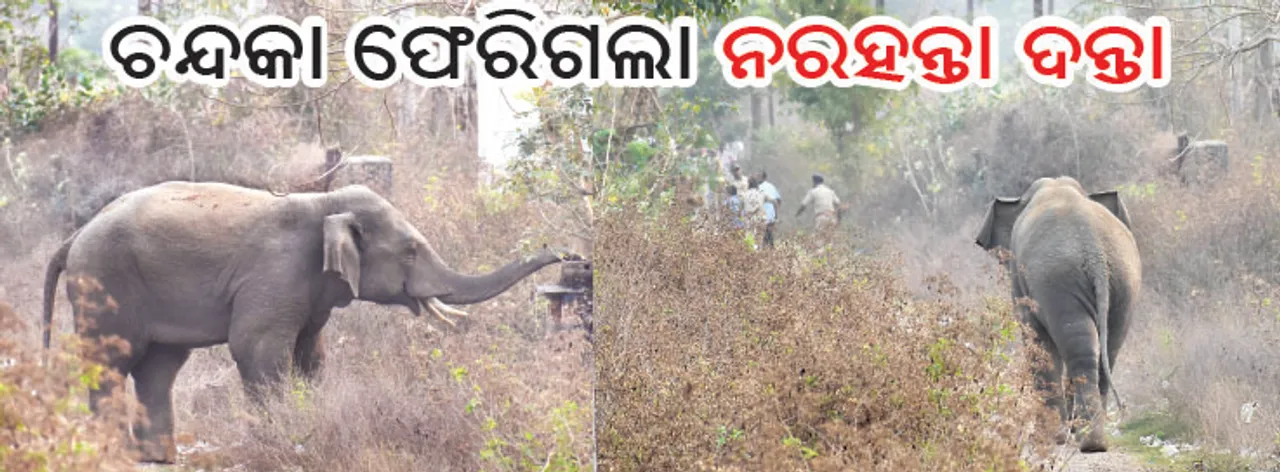  ଚନ୍ଦକା ଫେରିଗଲା ନରହନ୍ତା ଦନ୍ତା, ଦୟା ନଦୀ ପରେ ପାର୍ ହେଲା ରେଳ ଲାଇନ୍ ଓ ଜାତୀୟ ରାଜପଥ