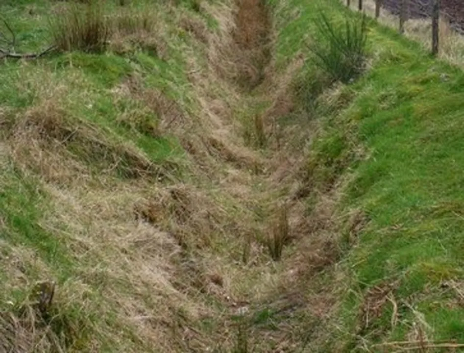  Geograph 