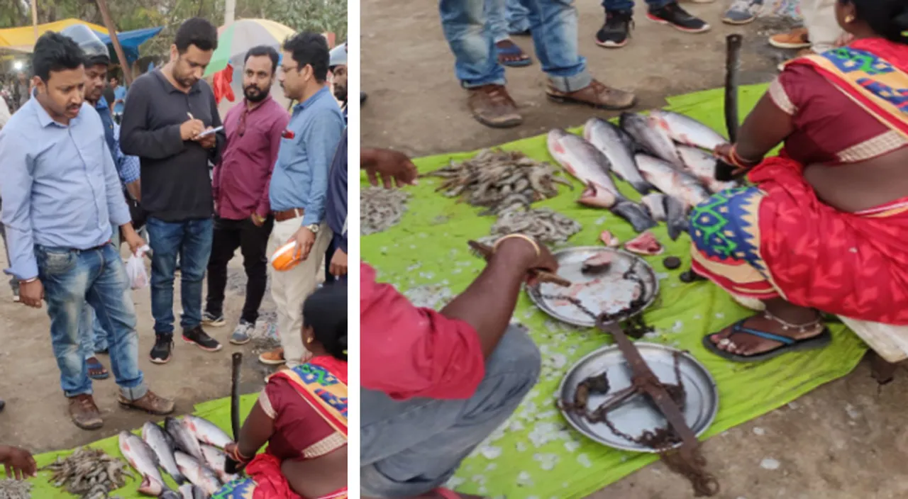  ସମ୍ବଲପୁର ବଜାରରେ ପୋକ ସାଲୁବାଲୁ ମାଛ : ଅଭିଯୋଗ ପରେ ଚଢ଼ଉ, ୨ ନମୁନା ଭୁବନେଶ୍ବର ଗଲା