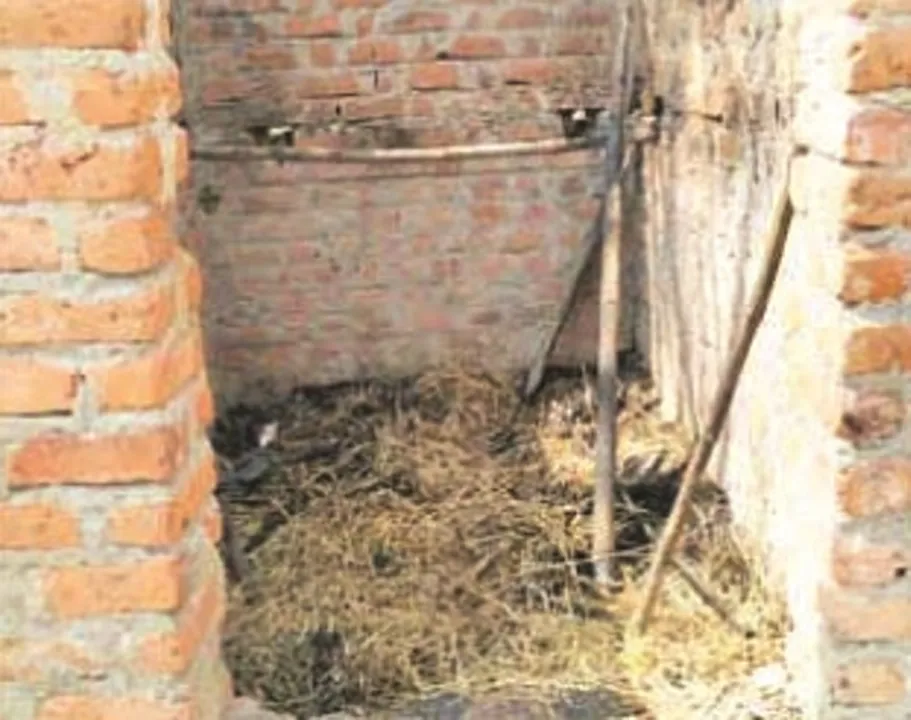  ହୃଦୟବିଦାରକ : ଗଞ୍ଜାମ ଜିଲ୍ଲା ପୋଲସରା ବ୍ଲକ୍‌ ଖଇରଛଟା ଗ୍ରାମରେ ଜିଅନ୍ତା ଜଳିଗଲେ ୪ ଶିଶୁ