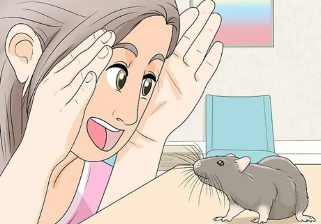  wikiHow 