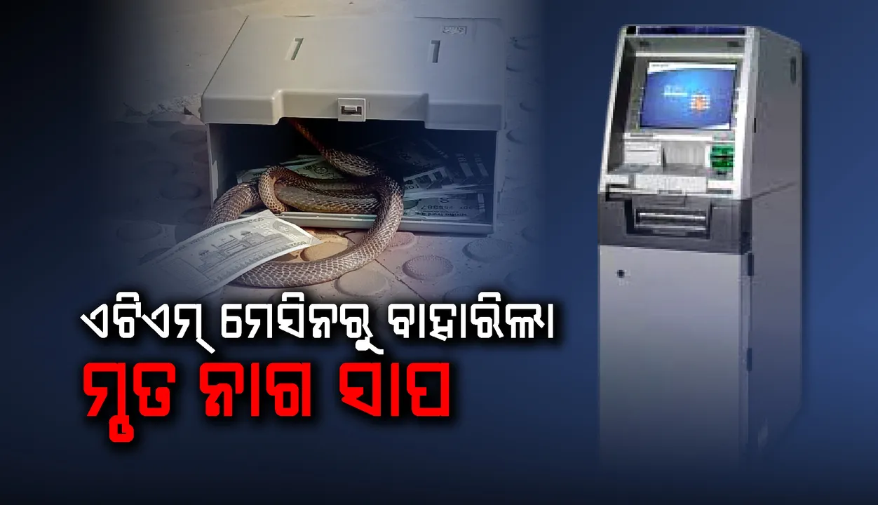  ଏଟିଏମ ମେସିନର ଟଙ୍କା ବାକ୍ସରୁ ମୃତ ନାଗ ସାପ ଉଦ୍ଧାର