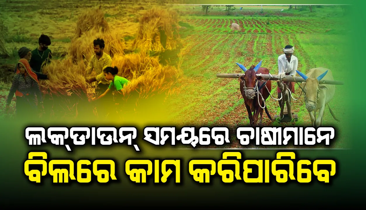  ସାମାଜିକ ଦୂରତ୍ବ ରକ୍ଷା କରି କୃଷି କାର୍ଯ୍ୟ ଜାରି ରଖାଯାଉ