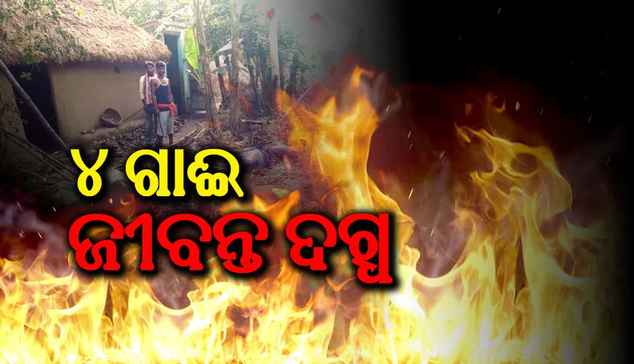  ଅଗ୍ନିକାଣ୍ଡରେ ୪ ଗାଈ ଜୀବନ୍ତ ଦଗ୍ଧ