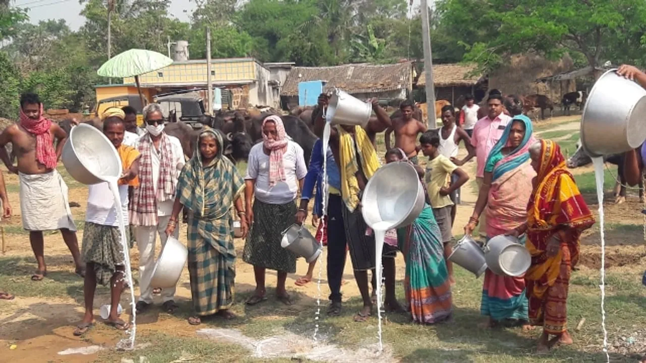  ଦୁଗ୍ଧ ଚାଷୀଙ୍କୁ କରୋନା ମାଡ଼ : ଘରୋଇ କମ୍ପାନିଙ୍କ ଦେଖାମିଳୁନି, ପ୍ରତିଦିନ ନଷ୍ଟ ହେଉଛି ଶହ ଶହ ଲିଟର କ୍ଷୀର