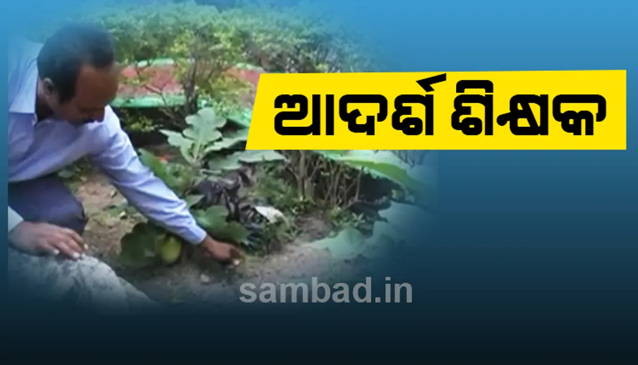  ଆଦର୍ଶ ଶିକ୍ଷକ: ପିଲାଙ୍କୁ ମଧ୍ୟାହ୍ନ ଭୋଜନରେ ତଟକା ପରିବା ଦେବାକୁ ସ୍କୁଲ ପରିସରରେ କଲେ ପରିବା ବଗିଚା