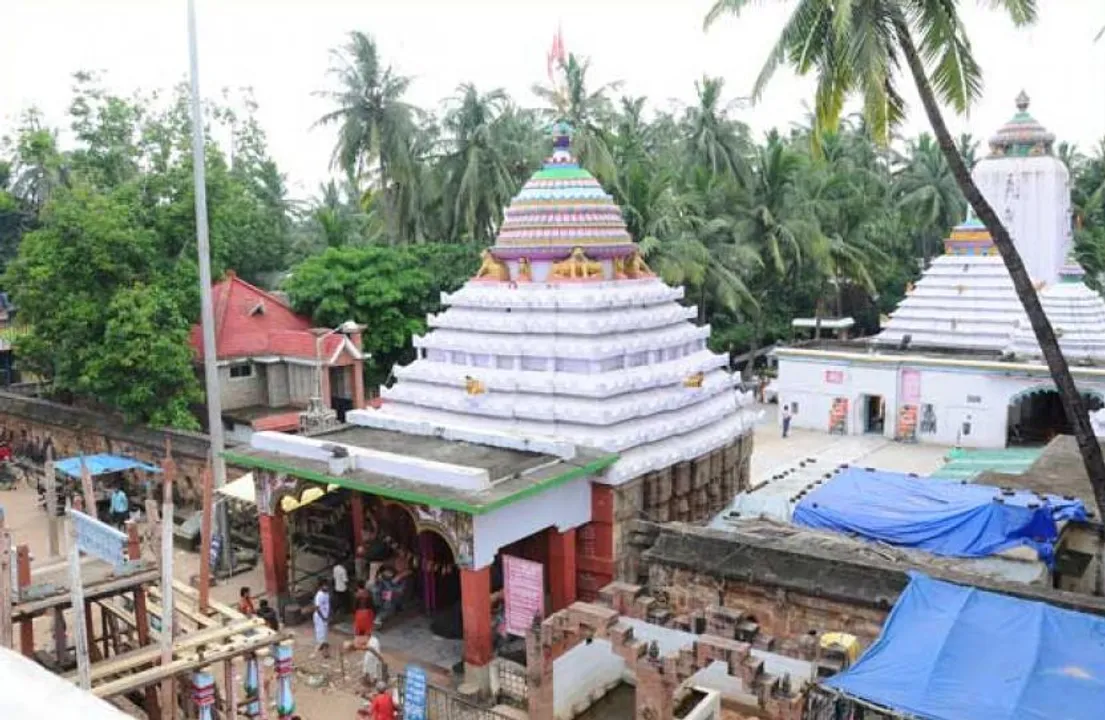  Temple Advisor 