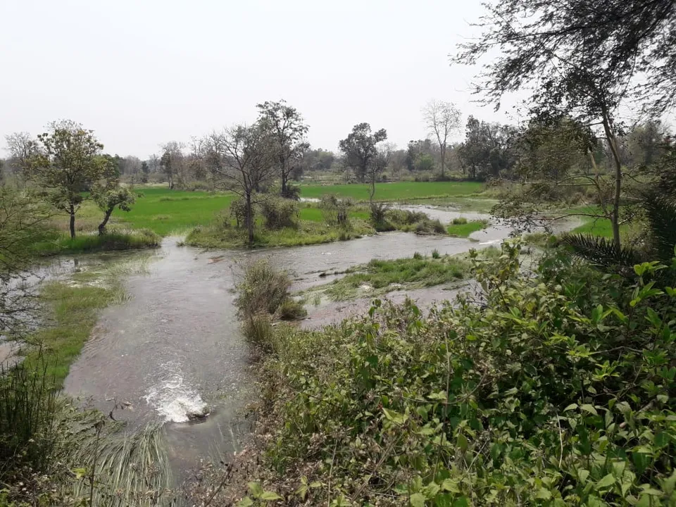  ଭାଙ୍ଗିଗଲା ହରିହର ଜୋର ମୁଖ୍ୟ କେନାଲ, ଡ୍ୟାମ ଗେଟ ବନ୍ଦ, ଚାଷ ପ୍ରଭାବିତ ହେବା ଆଶଙ୍କା