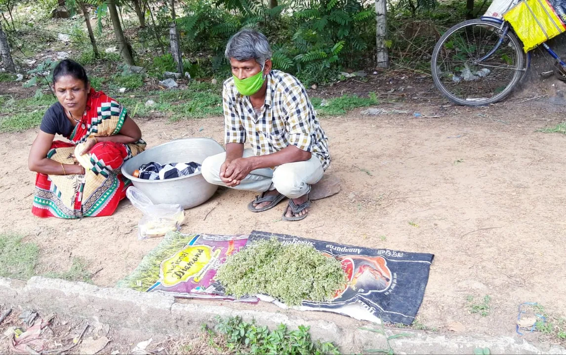  ଦାଉସାଜିଛି କରୋନା କଟକଣା: ଲିମ୍ବକଢ଼ି ବିକିଲେ ଚଳୁଛି ପରିବାର