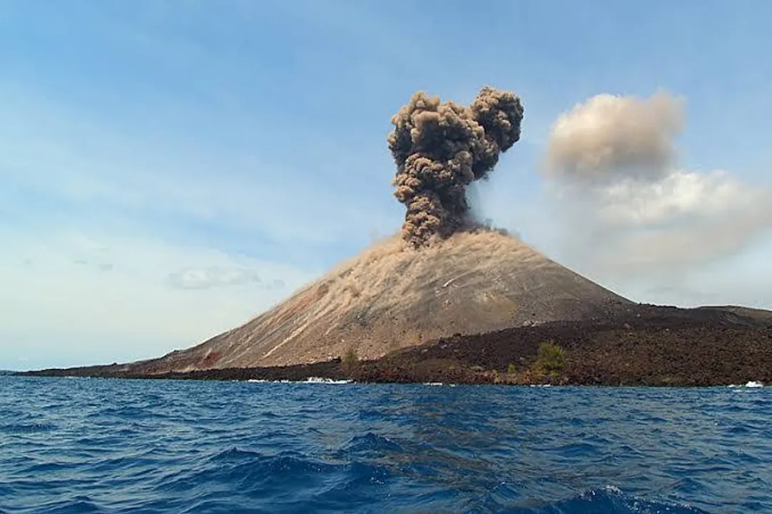  image credit : Harjoto Prasodjo
 