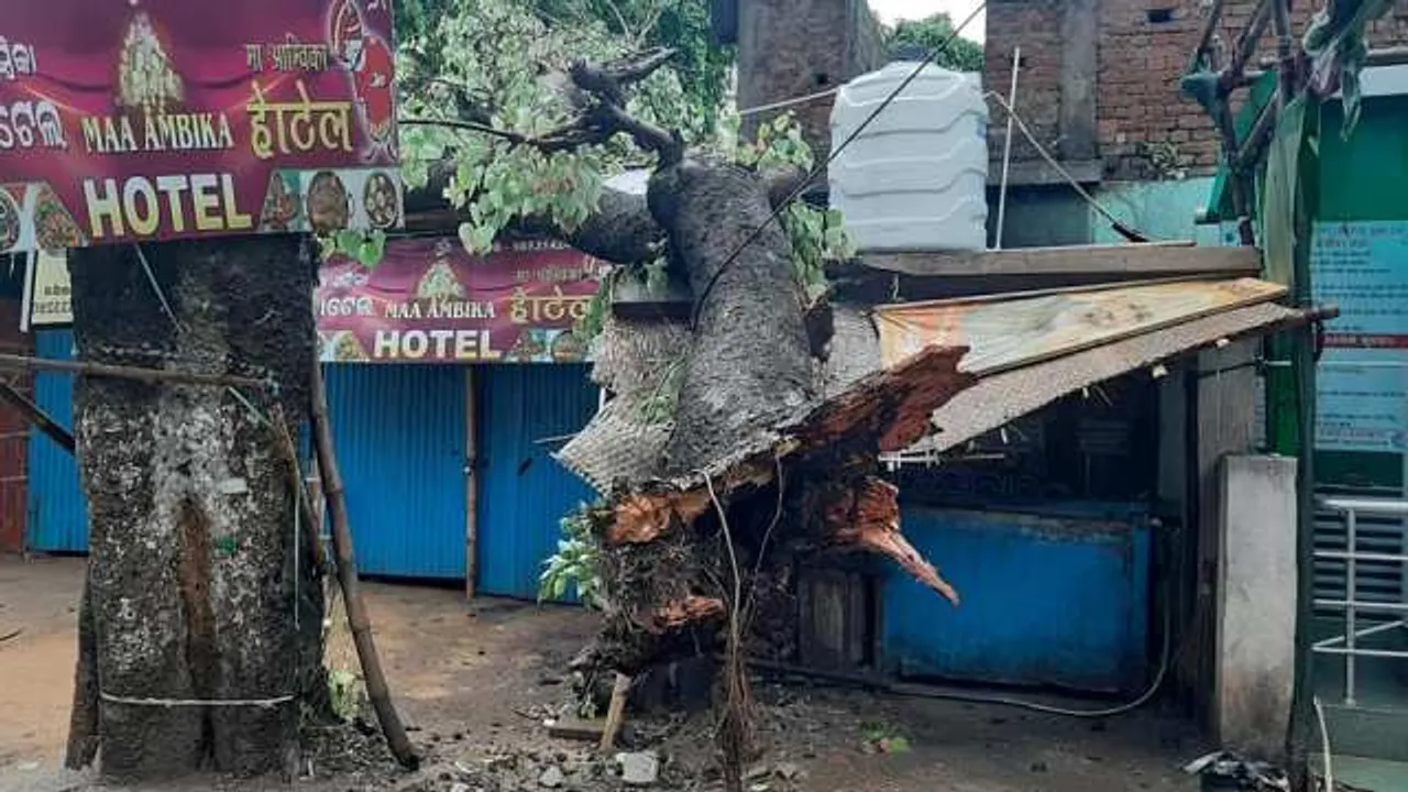  ଡରେଇଲା କଳାହାଣ୍ଡିଆ ମେଘ : ମୟୂରଭଞ୍ଜରେ ଘଡ଼ଘଡ଼ି ସହିତ ଲଗାଣ ବର୍ଷା, ଉପୁଡ଼ିଲା ଦେଢ଼ଶହ ବର୍ଷର ପୁରୁଣା ନିମ୍ବ ଗଛ