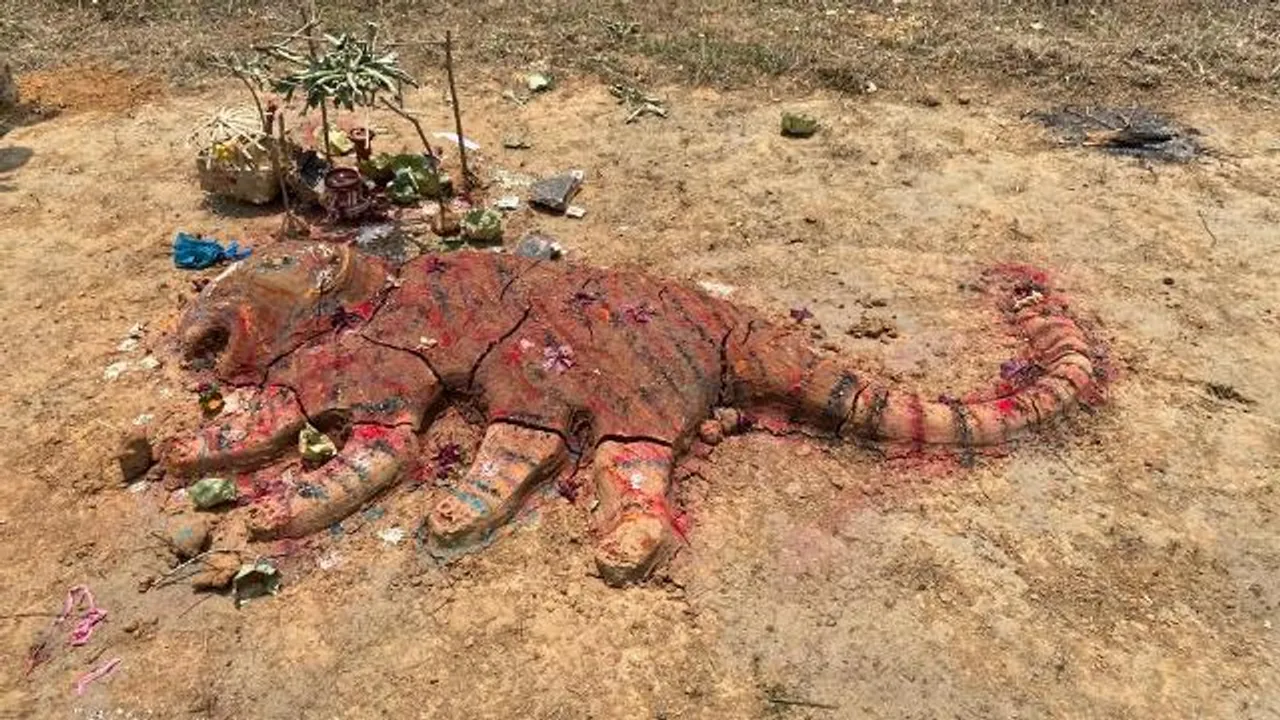  ବନ୍ୟଜନ୍ତୁ କବଳରୁ ରକ୍ଷା ପାଇଁ ବାଘ ପୂଜା । (ଫଟୋ: ତରୁଣ, ଜୟପୁର)