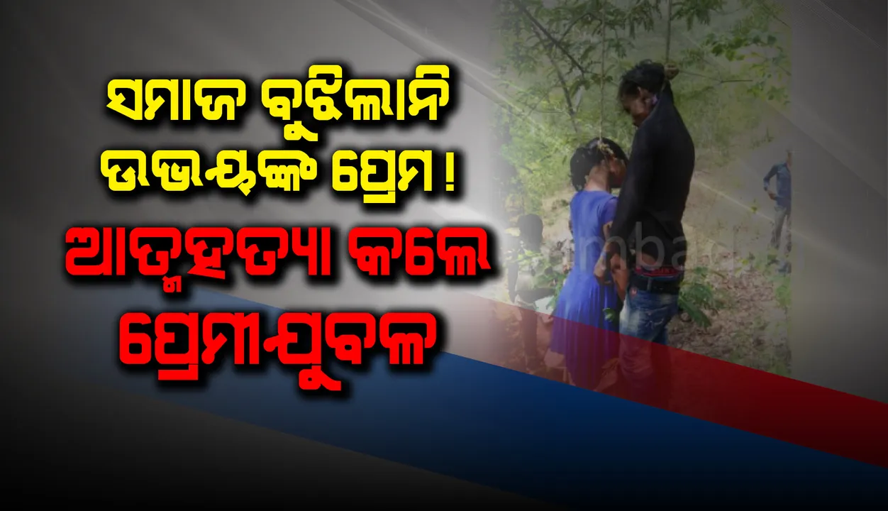  ସମାଜ ବୁଝିଲାନି ଉଭୟଙ୍କ ପ୍ରେମ ! ଗଛରେ ଆତ୍ମହତ୍ୟା କଲେ ପ୍ରେମୀଯୁଗଳ