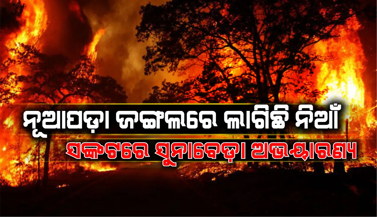  ଲକଡାଉନ୍ ସମୟରେ ନୂଆପଡ଼ାର ଜଙ୍ଗଲରେ ଲାଗିଛି ନିଆଁ, ସଙ୍କଟରେ ସୁନାବେଢା ଅଭୟାରଣ୍ୟ