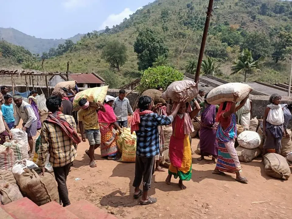  କରୋନା ମାଡ଼: ଦୁର୍ଦିନରେ ଡଙ୍ଗରିଆ, ଜୀବନ ଜୀବିକା ଠପ୍, ବଜାରକୁ ଆସି ପାରୁନି କୃଷି ଉତ୍ପାଦିତ ଦ୍ରବ୍ୟ