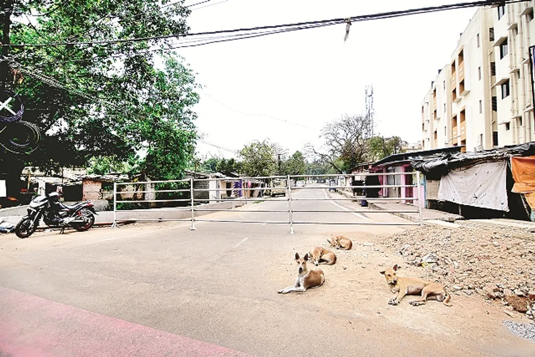  କରୋନା ଆକ୍ରାନ୍ତ ଚିହ୍ନଟ ହେବା ପରେ ସିଲ୍‌ ହୋଇଥିବା ସୂର୍ଯ୍ୟନଗର ୧୫ରେ ଖୋଲିବ, ବମିଖାଲ ଏବେ ନୁହେଁ