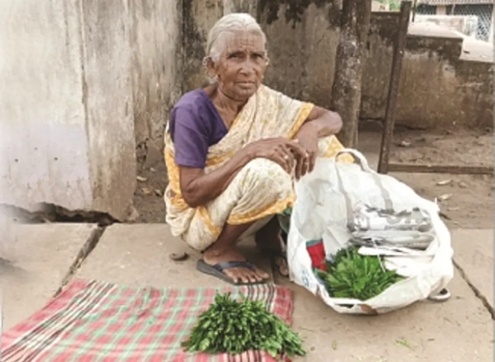  କରୋନା ଛଡ଼ାଇ ନେଇଛି ଆହାର : ଆଦିବାସୀଙ୍କ ଜୀବନଜୀବିକା ସଂକଟରେ