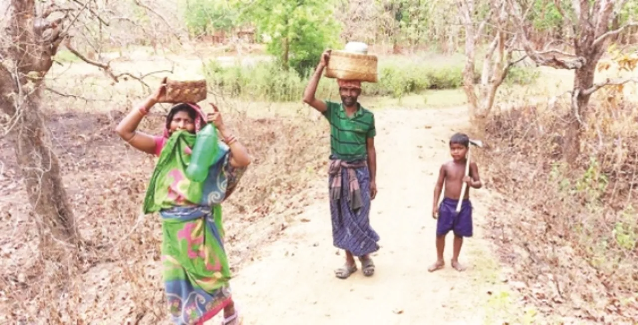  କରୋନା କଟକଣାରେ ଅସହ୍ୟ ହେଲାଣି ପେଟର ଭୋକ : ଆଦିବାସୀଙ୍କ ପାଇଁ ଜୀବିକା ଯୋଗାଇଛି ମହୁଲଫୁଲ