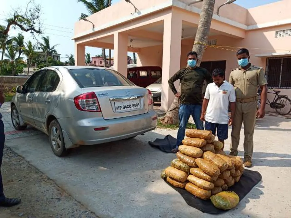  ପୁରୀରେ ୪୪ କିଲୋଗ୍ରାମ୍ ଗଞ୍ଜେଇ ଜବତ, ଜଣେ ଗିରଫ