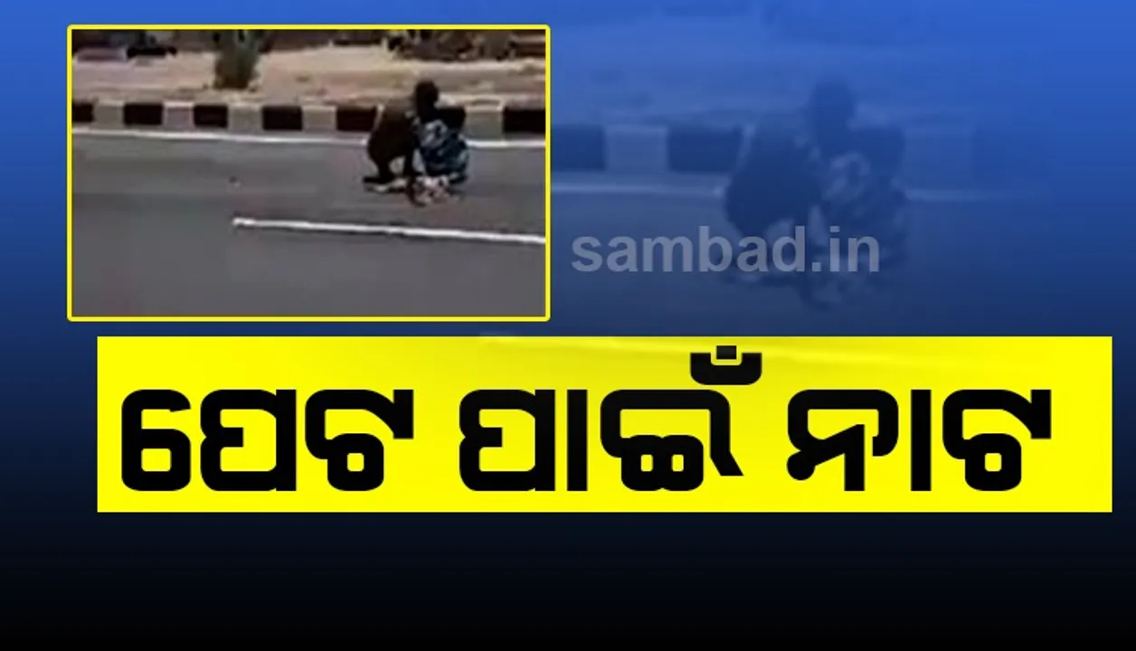  ଭୋକର କରୁଣ ଚିତ୍ର ! ମଲା କୁକୁର ମାଂସରେ ଥମିଲା ଭୋକିଲା ପେଟର ଦାଉ