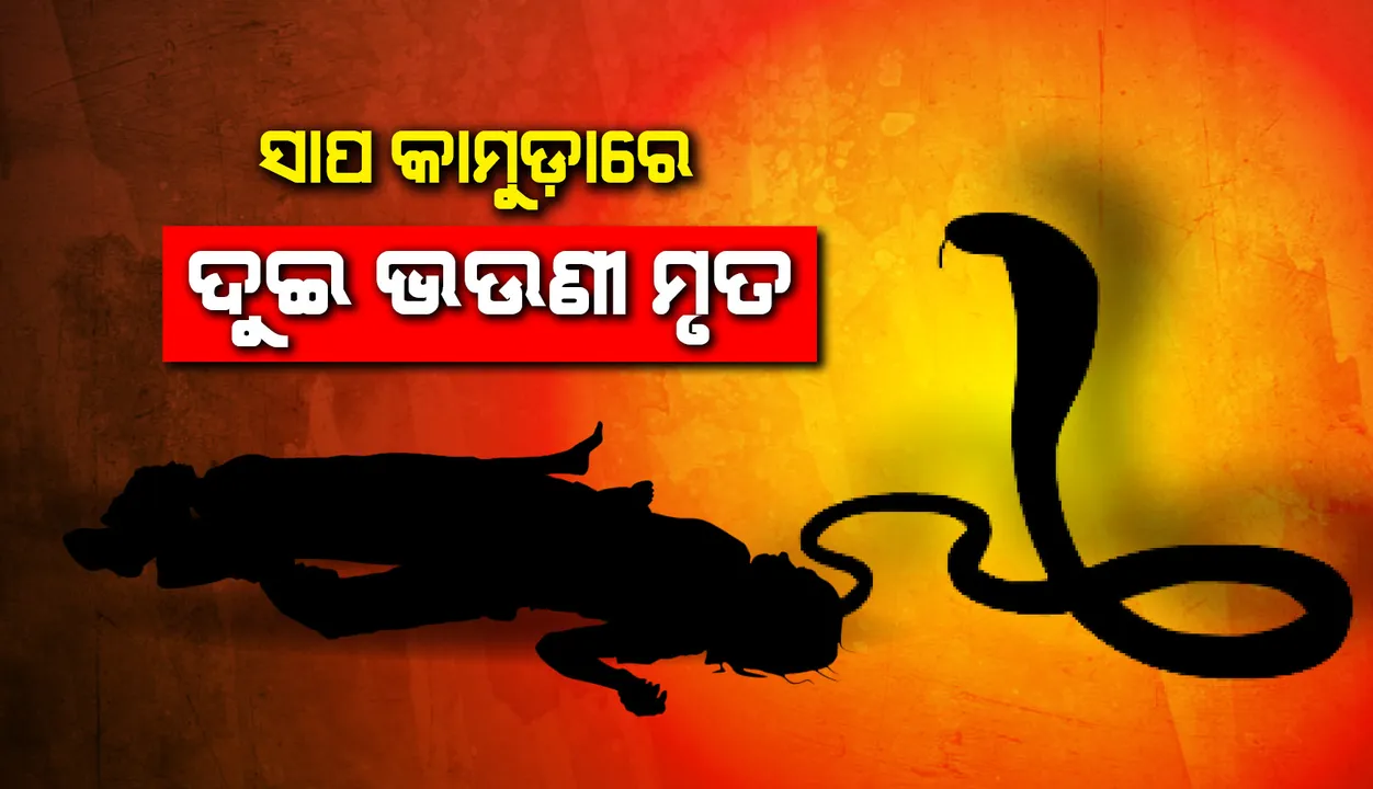  ସାପ କାମୁଡ଼ାରେ ଦୁଇ ଭଉଣୀ ମୃତ