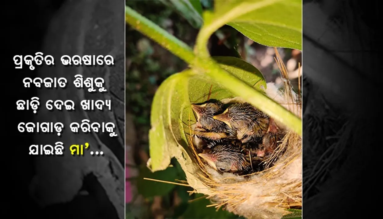  ଆମେ ବି ଦେଖିବୁ ଦୁନିଆ । (ଫଟୋ: ତରୁଣ, ଜୟପୁର)