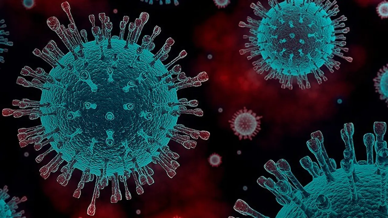  Image Source: BD Bioscience 