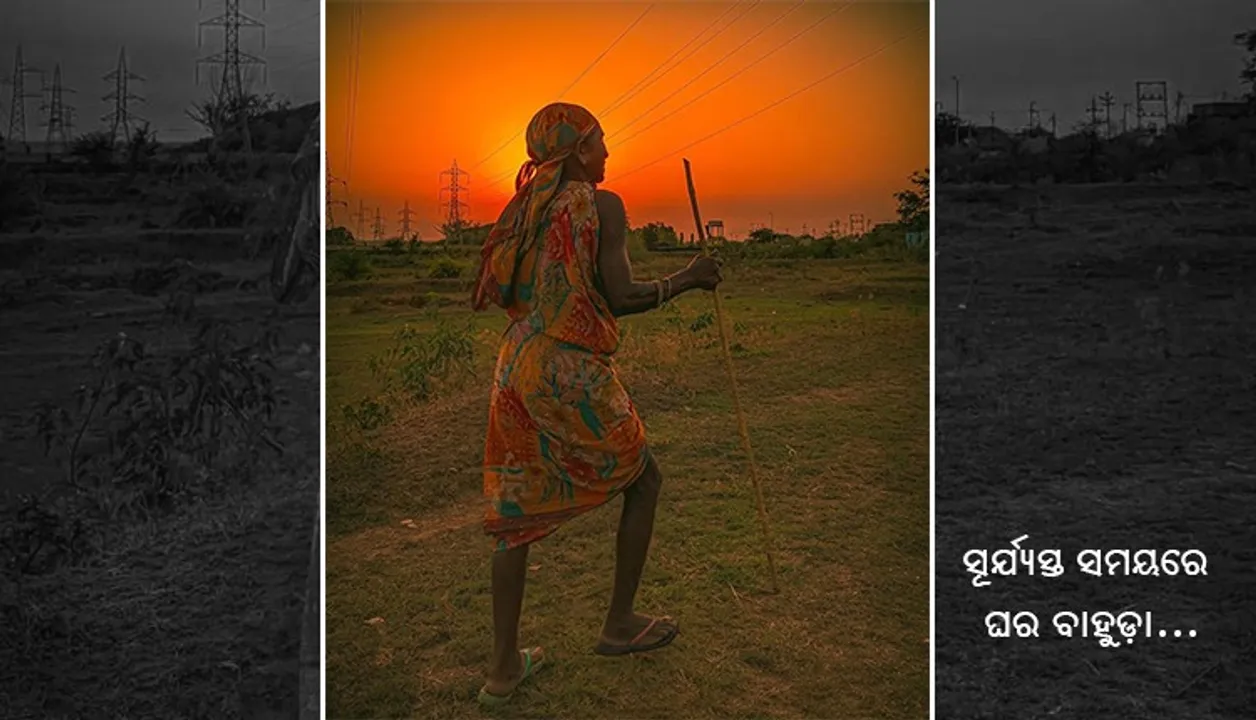  ସୂର୍ଯ୍ୟସ୍ତ ସମୟରେ ଘର ବାହୁଡା । (ଫଟୋ: ତରୁଣ, ଜୟପୁର)