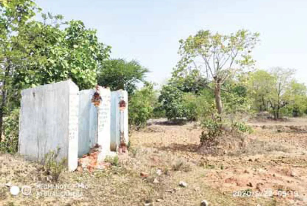  କରୋନା ଖୋଲୁଛି ସ୍ୱଚ୍ଛ ଭାରତ ଗୁମର: ଗୋଚର, ଜଙ୍ଗଲ ଜମିରେ ବି ପାଇଖାନା